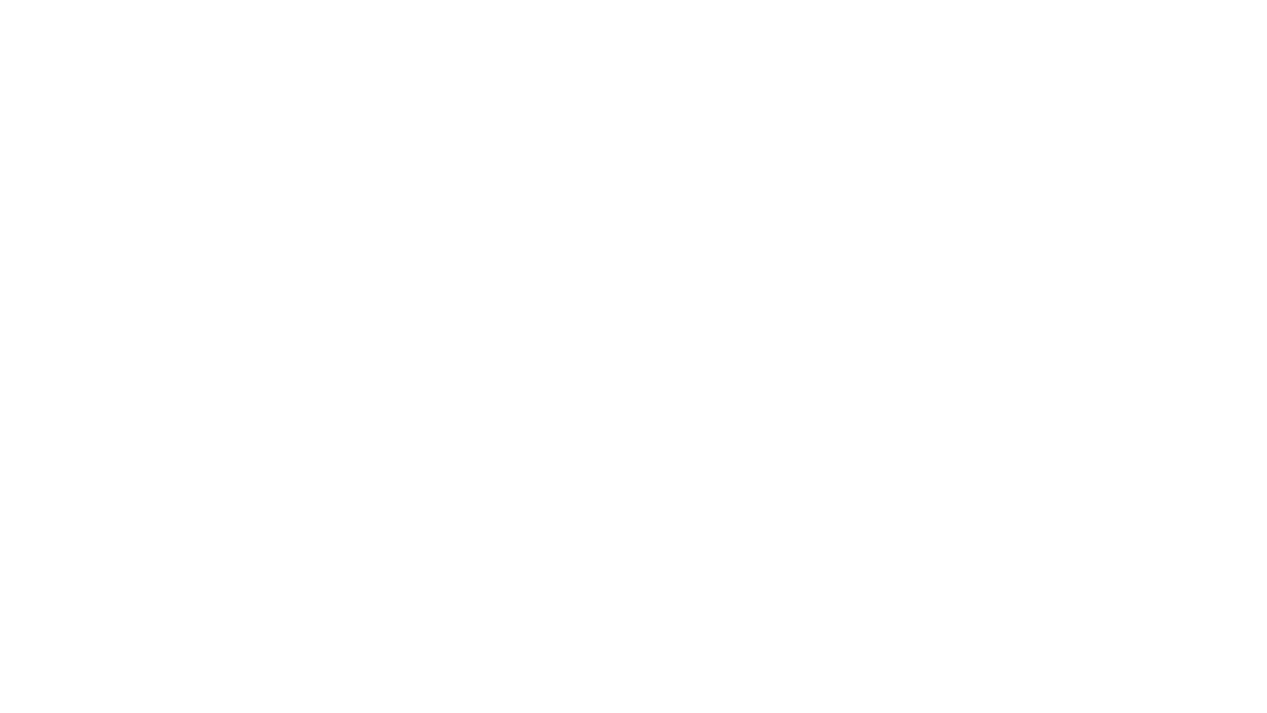 BMD_Logos2023_BMD-MAIN-WHITE